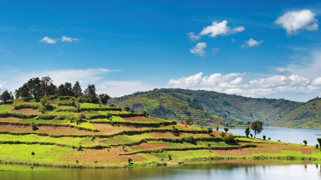 Study finds a significant relationship between lower pollution levels in urine samples of organic farmers relative to non-organic farmers.