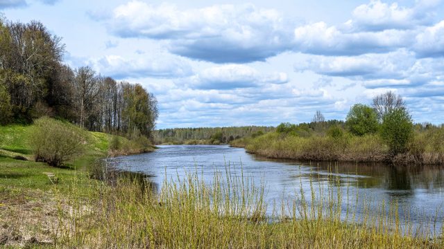 As flooding events become more frequent with climate change, pesticide contamination transfers to ecosystems like riparian zones.