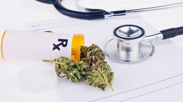 Researchers and members of the WA State Liquor and Cannabis Board highlight the inadequacy of regulatory safeguards for pesticide contamination of cannabis.