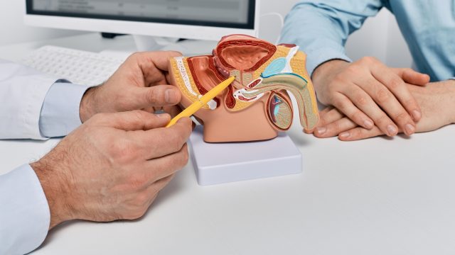 In a study of mice exposed to thiacloprid and their offspring, increased risks for adverse impacts to prostate health are determined.