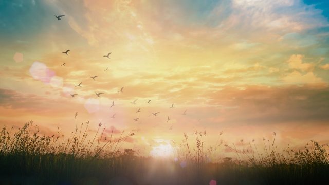 The transition to organic land management has emerged as an area of common ground amidst the nation's fractious political climate.