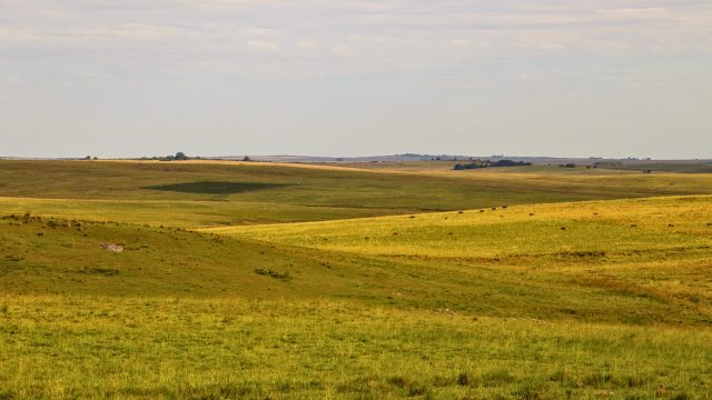 Researchers in Brazil find that organic farming coupled with agroecological conservation practices “promotes biodiversity in agricultural landscapes.”