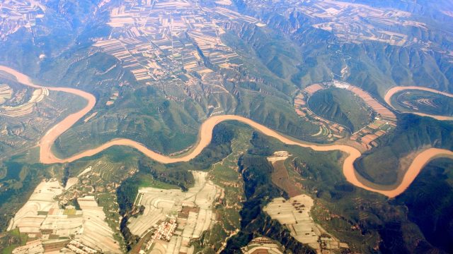 Pesticide contamination in aquatic ecosystems has cascading impacts on organisms throughout trophic levels in the food web.